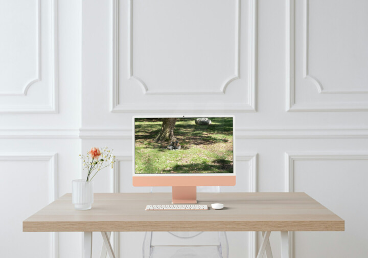 Kunstwerk in situatie