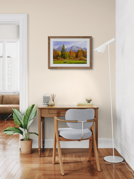 Artwork in situation