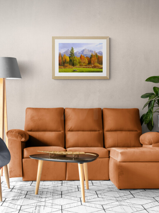 Artwork in situation