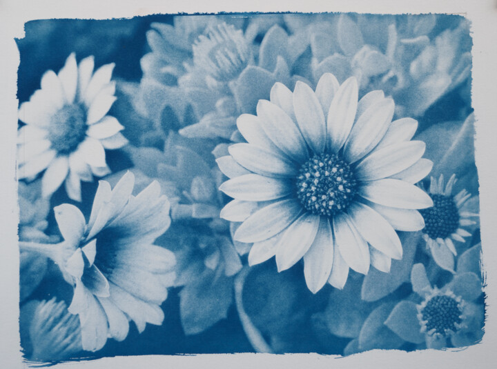 Fotografie getiteld "Blue Flower n°2" door Riccardo Beretta, Origineel Kunstwerk, Cyanotypie