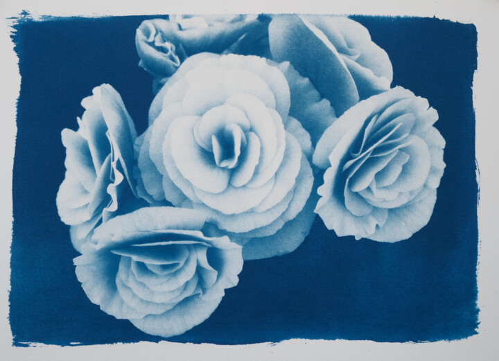 Fotografie getiteld "Blue Flower n°3" door Riccardo Beretta, Origineel Kunstwerk, Cyanotypie