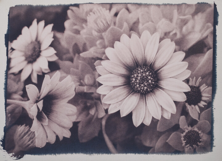 Fotografie getiteld "Vintage flower n°2" door Riccardo Beretta, Origineel Kunstwerk, Cyanotypie