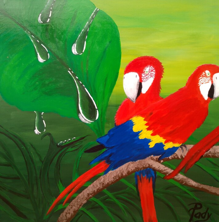 "Guacamayos" başlıklı Tablo Pady Fremberg tarafından, Orijinal sanat, Akrilik