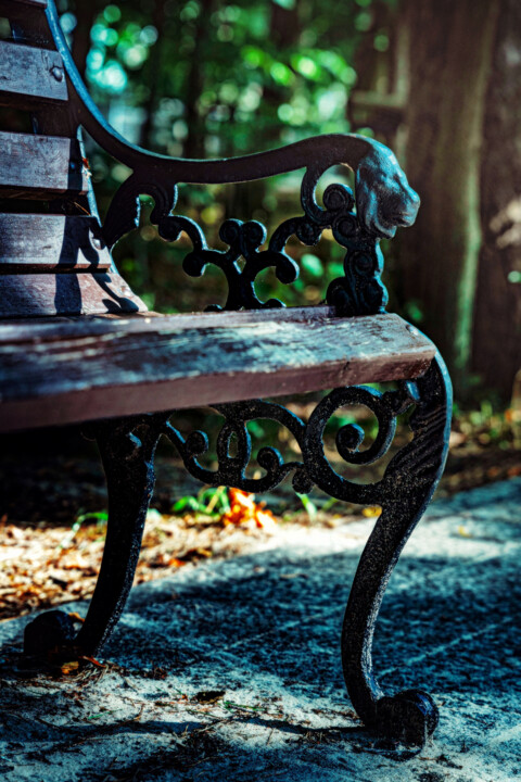 Fotografia zatytułowany „ławka” autorstwa Jerzy Jaworski, Oryginalna praca, Fotografia cyfrowa