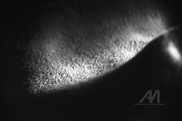 Fotografia zatytułowany „Abstract#1” autorstwa Krystian Falkowski, Oryginalna praca, Fotografia cyfrowa