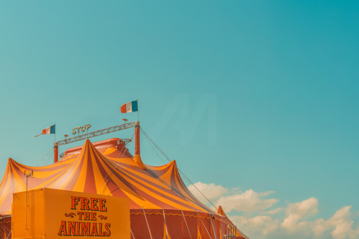 "Libre" başlıklı Fotoğraf Sara Fraysse tarafından, Orijinal sanat, Dijital Fotoğrafçılık Alüminyum üzerine monte edilmiş