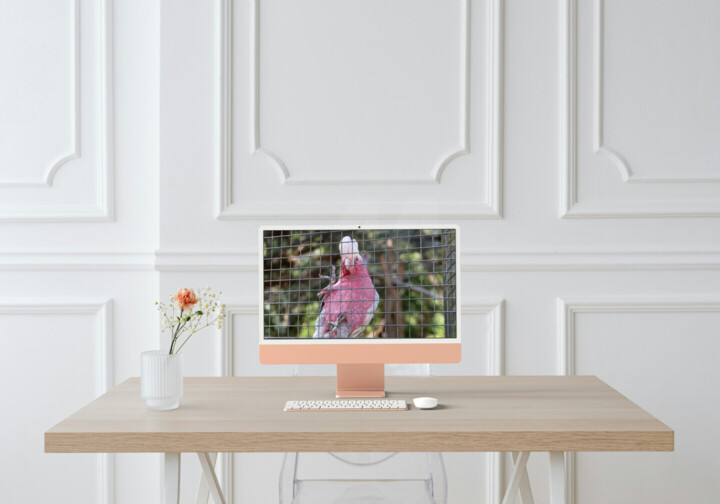 Kunstwerk in situatie