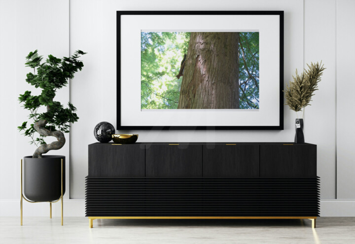 Werk ingelijst gepresenteerd