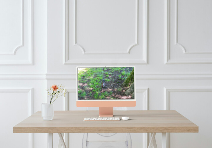 Kunstwerk in situatie