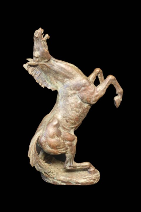 Γλυπτική με τίτλο "Cavallo rampante" από Aldo Falchi, Αυθεντικά έργα τέχνης, Μπρούντζος