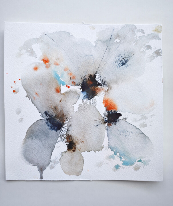 Aanvullende afbeeldingen 2