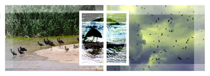Arts numériques intitulée "BIRDS & THIRST" par Evelyne Chevallier, Œuvre d'art originale, Collage numérique