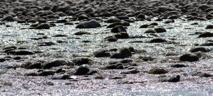 Photography titled "Geruwa River Stones" by Geoff_lockhart_wildness, Original Artwork, Digital Photography