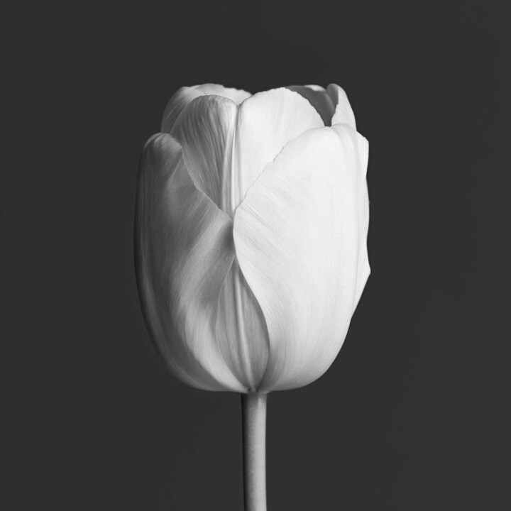 Fotografia intitulada "Who is taking my cl…" por Dean Buckfield, Obras de arte originais, Fotografia digital