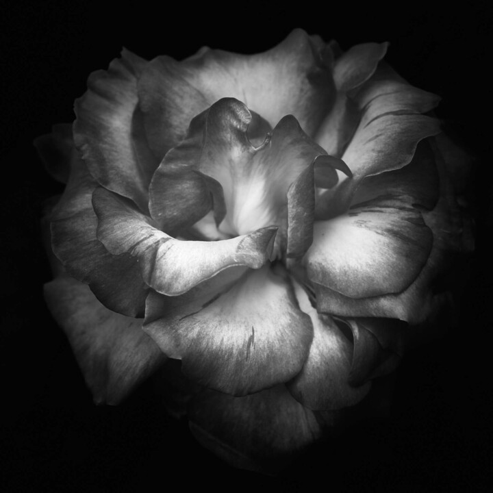 Fotografia intitulada "Have I yet to call…" por Dean Buckfield, Obras de arte originais, Fotografia digital