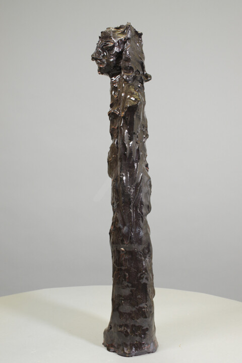 Vues supplémentaires 11