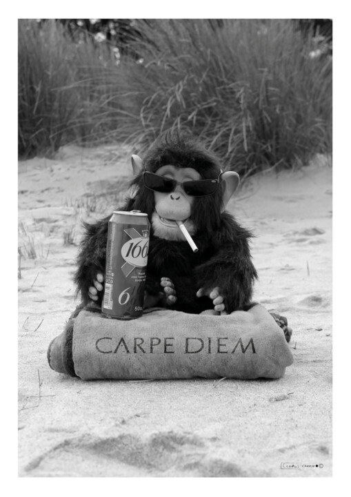 Photography titled "carpe diem" by Cheese, Original Artwork, Digital Photography