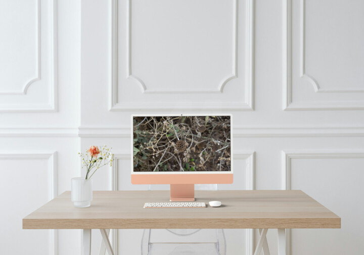 Kunstwerk in situatie