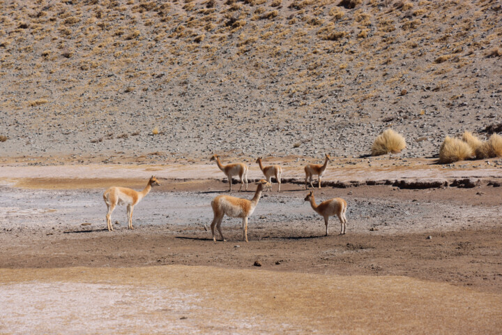 Фотография под названием "Geographies of Sile…" - Diego Ben Karlsson, Подлинное произведение искусства, Цифровая фотография