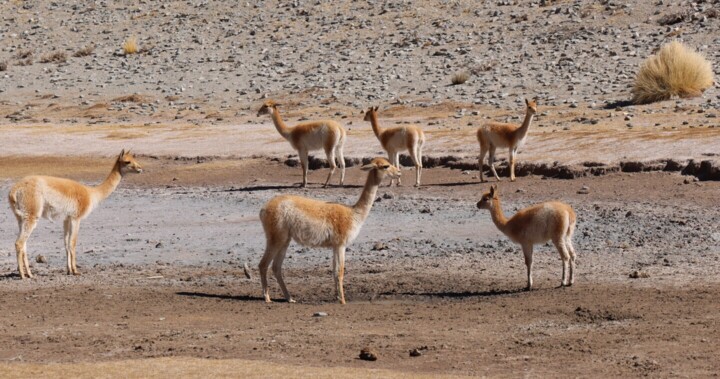 Дополнительные снимки 2