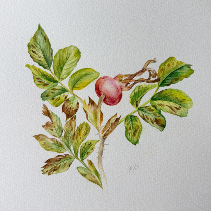 "Rosehip Branch – Or…" başlıklı Tablo Liudmila Kotovich tarafından, Orijinal sanat, Suluboya Ahşap Sedye çerçevesi üzerine m…