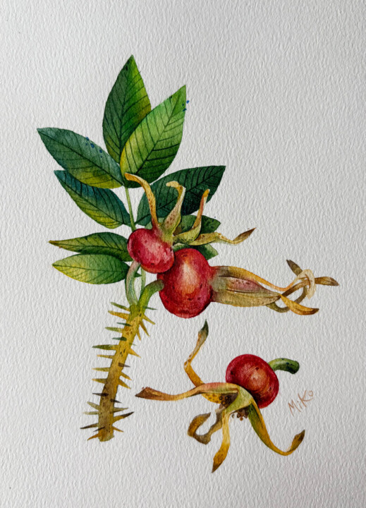 "Rosehip Branch – Or…" başlıklı Tablo Liudmila Kotovich tarafından, Orijinal sanat, Suluboya Ahşap Sedye çerçevesi üzerine m…