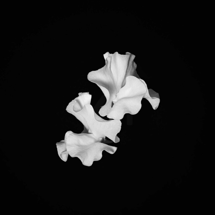 Fotografia intitulada "Taken a different w…" por Dean Buckfield, Obras de arte originais, Fotografia digital