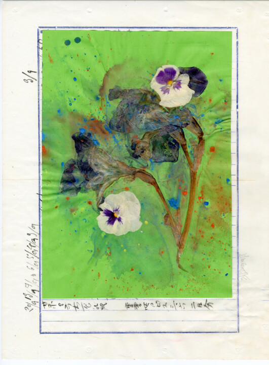 Kolaże zatytułowany „Floralies (3)” autorstwa Vincent Sfg, Oryginalna praca, Kolaże Zamontowany na artwork_cat.