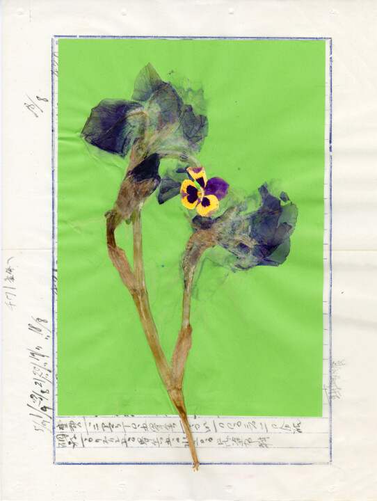 Kolaże zatytułowany „Floralies (5)” autorstwa Vincent Sfg, Oryginalna praca, Kolaże Zamontowany na Drewniana rama noszy