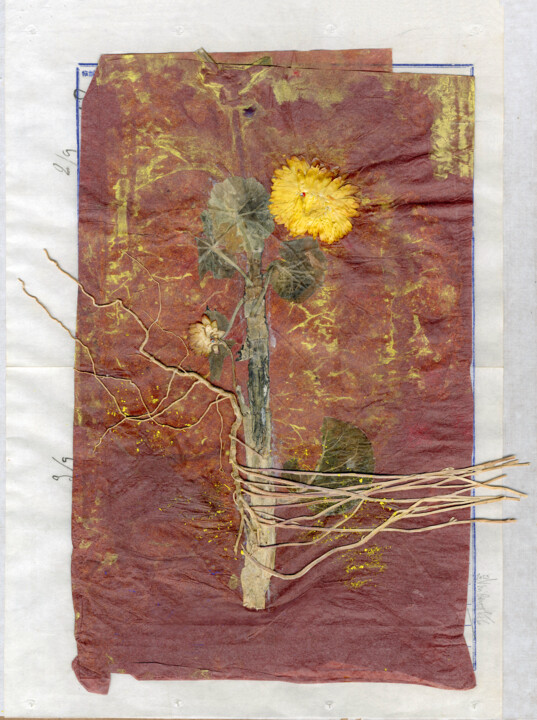 Kolaże zatytułowany „Floralies (8)” autorstwa Vincent Sfg, Oryginalna praca, Kolaże Zamontowany na Drewniana rama noszy