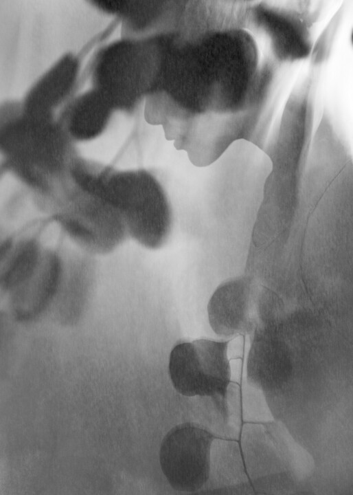 Photography titled "Veiled Whispers - I" by Xidong Luo, Original Artwork, Digital Photography