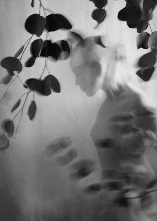 Photography titled "Veiled Whispers - II" by Xidong Luo, Original Artwork, Digital Photography