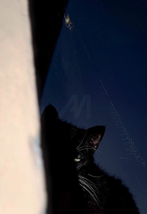 Fotografia zatytułowany „silence” autorstwa Jerzy Jaworski, Oryginalna praca, Fotografia cyfrowa