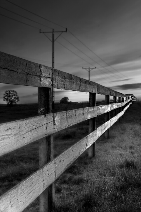 Fotografia zatytułowany „płot” autorstwa Jerzy Jaworski, Oryginalna praca, Fotografia cyfrowa