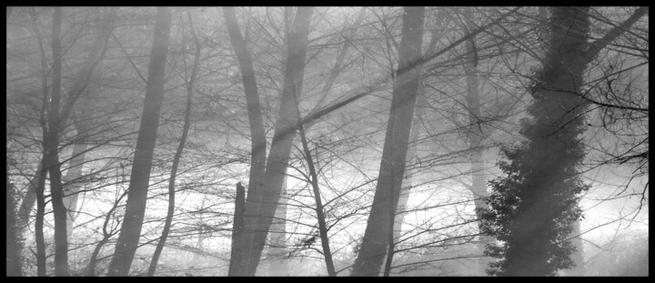 Photographie intitulée "dsc_2275" par Philip Payne, Œuvre d'art originale, Photographie non manipulée