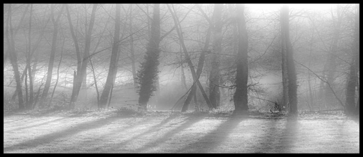 Photographie intitulée "dsc_2277" par Philip Payne, Œuvre d'art originale, Photographie non manipulée