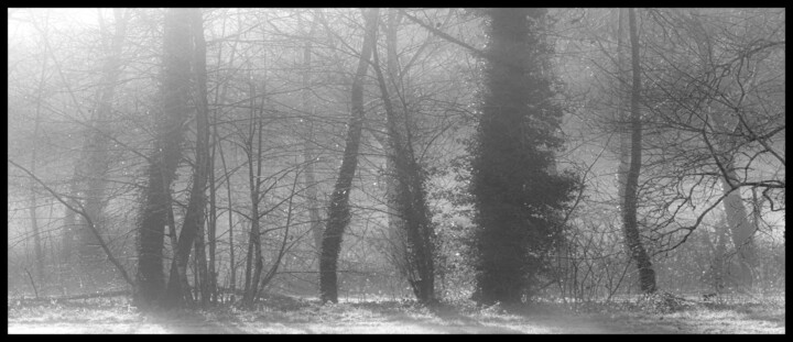 Photographie intitulée "dsc_2278" par Philip Payne, Œuvre d'art originale, Photographie non manipulée