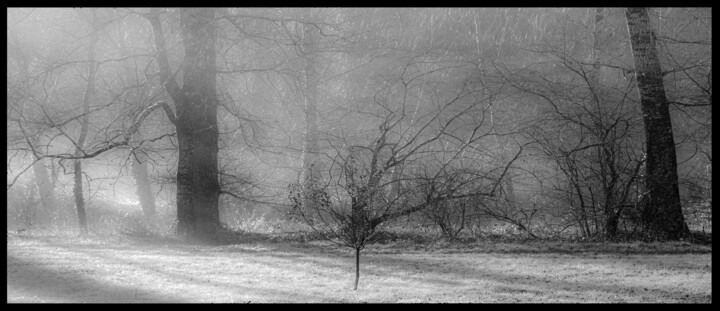 Photographie intitulée "dsc_2279" par Philip Payne, Œuvre d'art originale, Photographie non manipulée