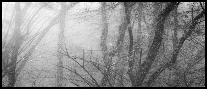 Photographie intitulée "dsc_2296" par Philip Payne, Œuvre d'art originale, Photographie non manipulée