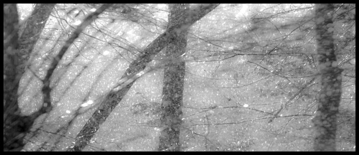 Photographie intitulée "dsc_2297" par Philip Payne, Œuvre d'art originale, Photographie non manipulée