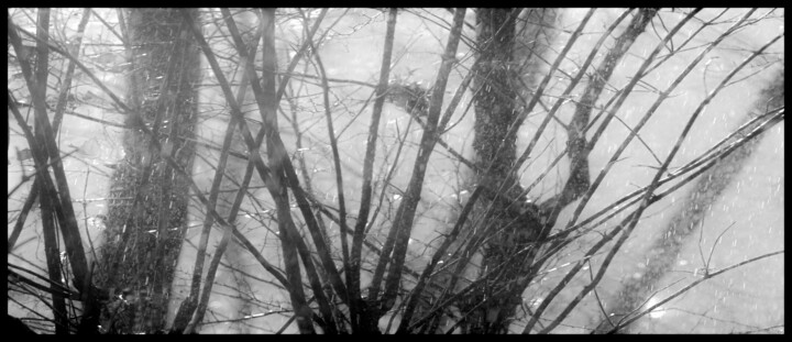 Photographie intitulée "dsc_2298" par Philip Payne, Œuvre d'art originale, Photographie non manipulée