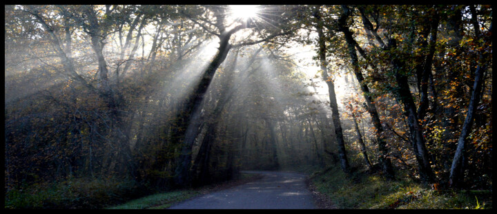 Photographie intitulée "dsc_1962" par Philip Payne, Œuvre d'art originale, Photographie non manipulée