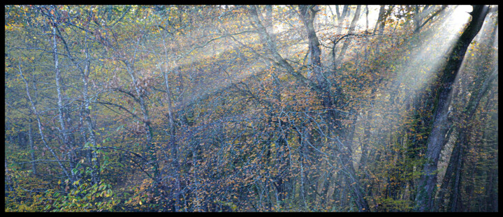 Photographie intitulée "dsc_1963" par Philip Payne, Œuvre d'art originale, Photographie non manipulée