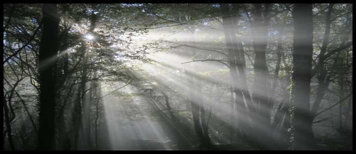 Photographie intitulée "IMG-2271" par Philip Payne, Œuvre d'art originale, Photographie non manipulée