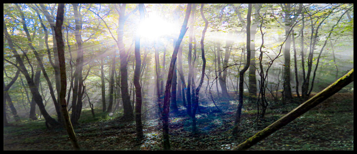 Photographie intitulée "IMG_2272" par Philip Payne, Œuvre d'art originale, Photographie non manipulée