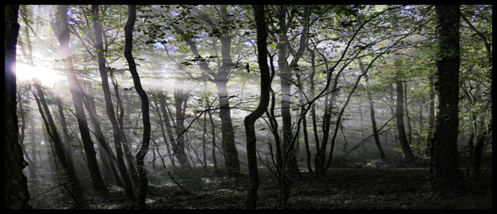 Photographie intitulée "IMG_2274" par Philip Payne, Œuvre d'art originale, Photographie non manipulée