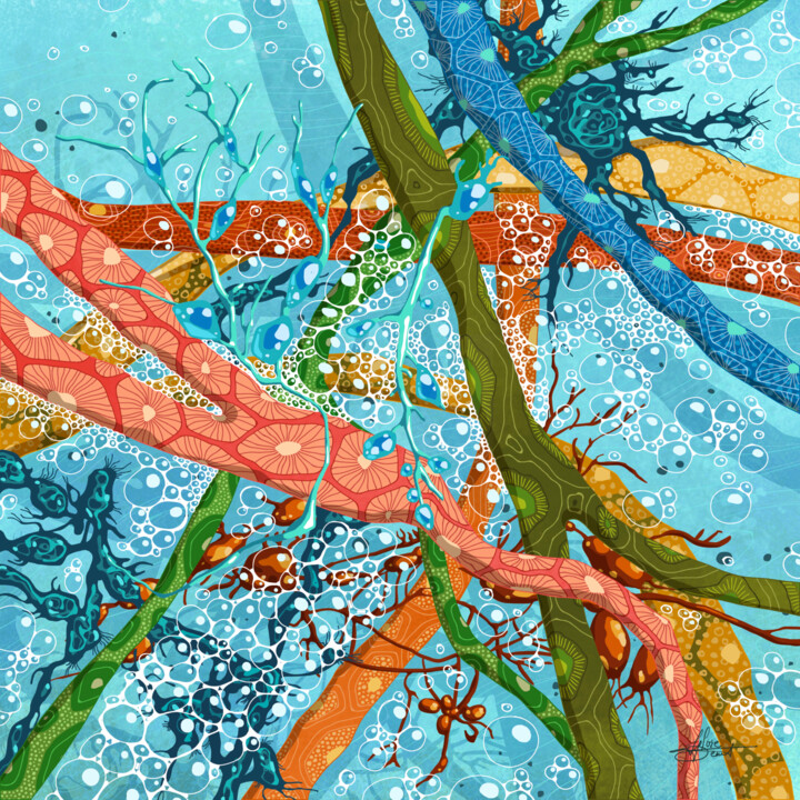 Grafika cyfrowa / sztuka generowana cyfrowo zatytułowany „Algues d'ailleurs” autorstwa Sylvie Dessert (Syl), Oryginalna prac…