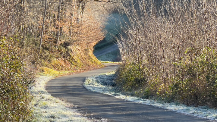 Photographie intitulée "CHEMINS-IMG_1360" par Philip Payne, Œuvre d'art originale, Photographie non manipulée