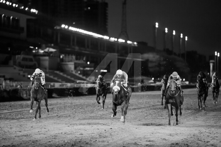 Fotografie mit dem Titel "The winners" von Axel Rosito, Original-Kunstwerk, Digitale Fotografie