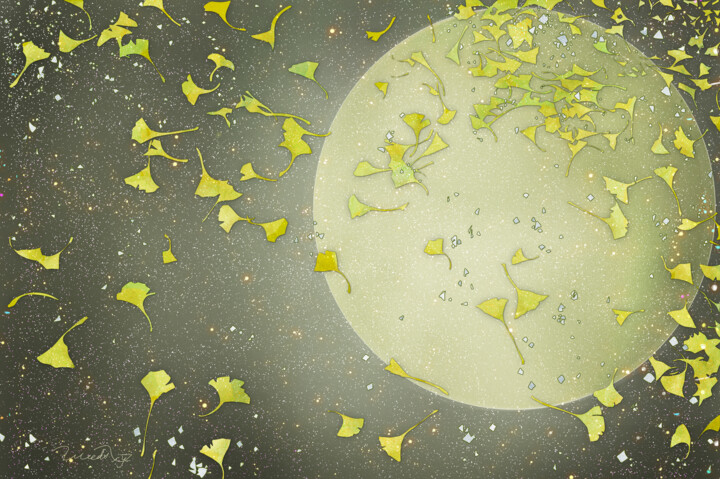 "Ginkgo moon" başlıklı Dijital Sanat Weedsxyz tarafından, Orijinal sanat, Analog Fotoğrafçılık